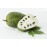 Soursop Small